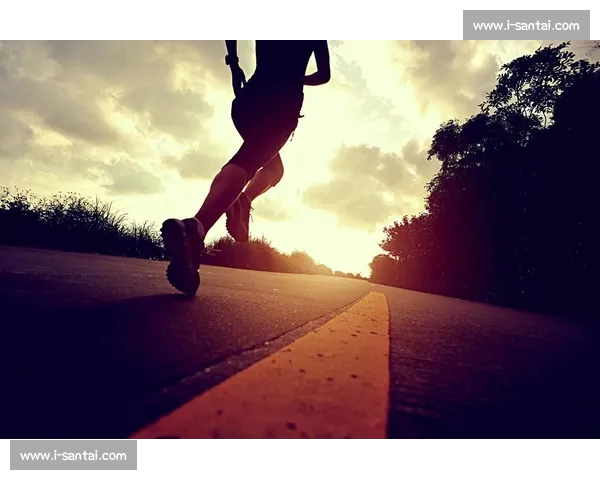 《全球体育大视野:全面解析各大赛事背后的精彩故事与运动员奋斗历程》